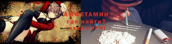сатива Абинск