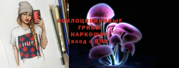 сатива Абинск