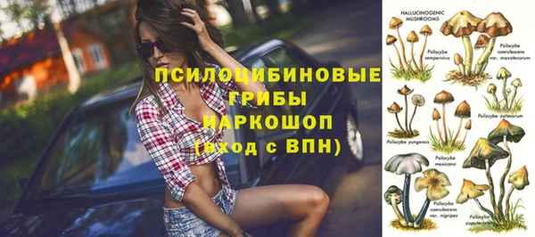 сатива Абинск