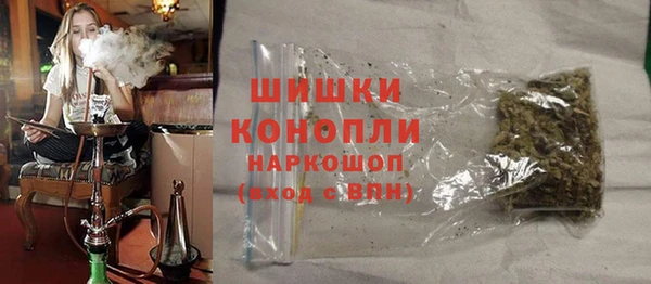 сатива Абинск