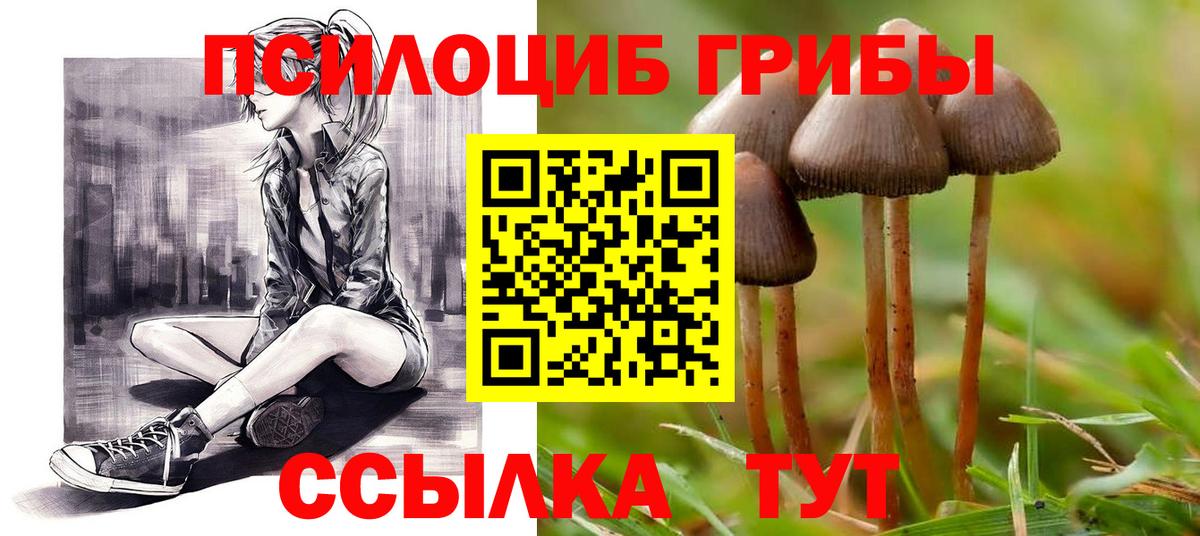 Шарыпово  Галлюциногенные грибы Psilocybe  магазин продажи наркотиков  Вход с VPN  Галлюциногенные грибы Psilocybe 