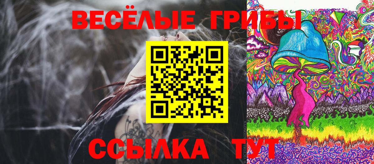 Псилоцибиновые грибы Psilocybe Шарыпово